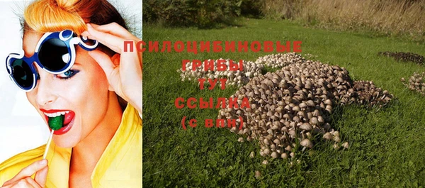 соль курить ск Бородино