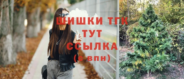 соль курить ск Бородино