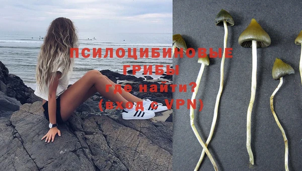 соль курить ск Бородино