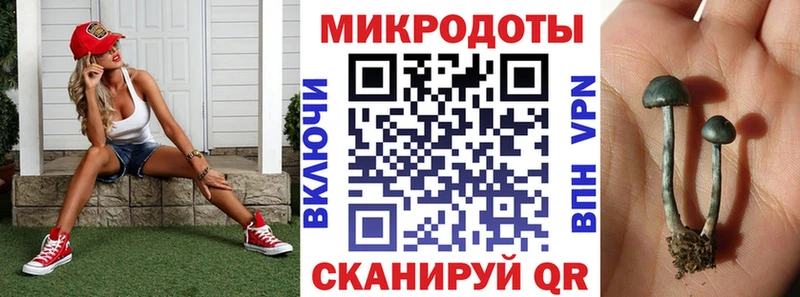 где найти наркотики  Кизилюрт  блэк спрут рабочий сайт  Псилоцибиновые грибы GOLDEN TEACHER 
